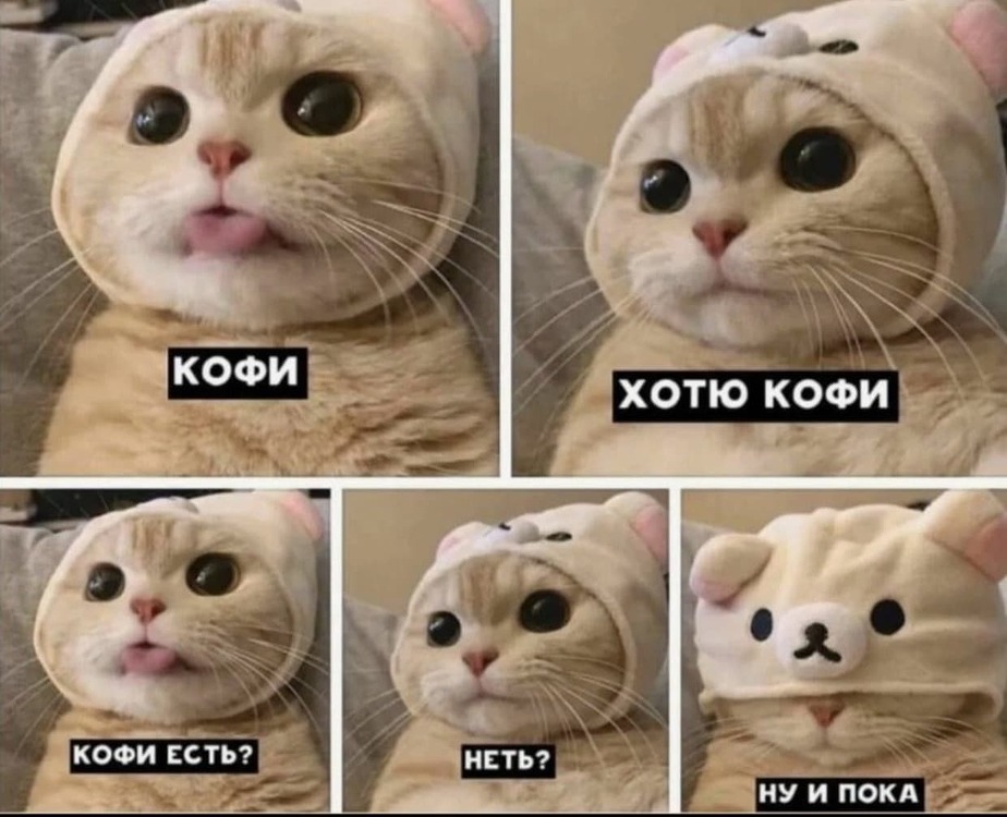 Все мы утром - Юмор, Кот, Утро, Кофе, Картинка с текстом