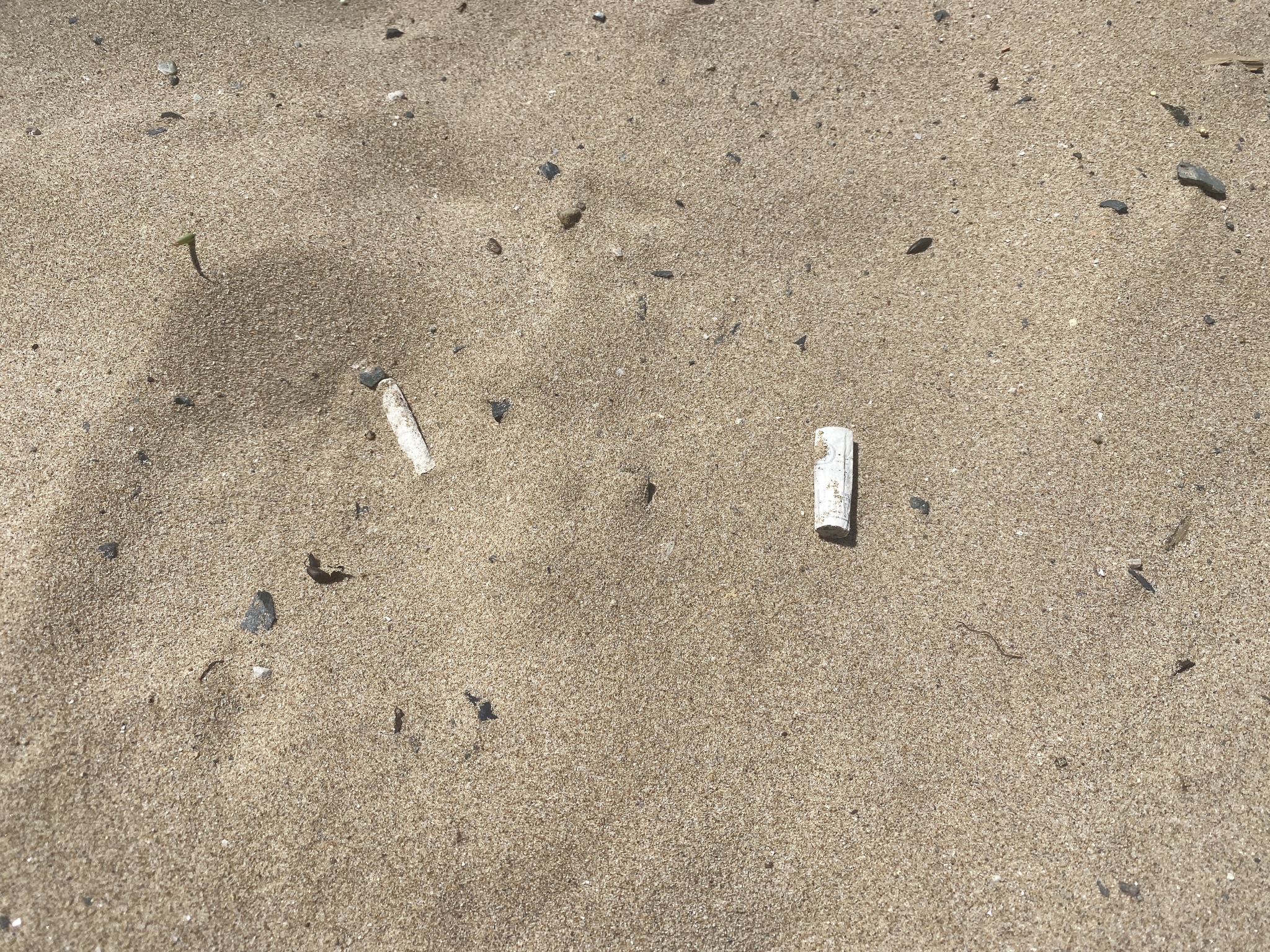 What responsibility can there be for smoking a cigarette and what else is not allowed on the beaches of Spain? - Europe, Living abroad, Emigration, Relocation, Spain, Telegram (link), Longpost