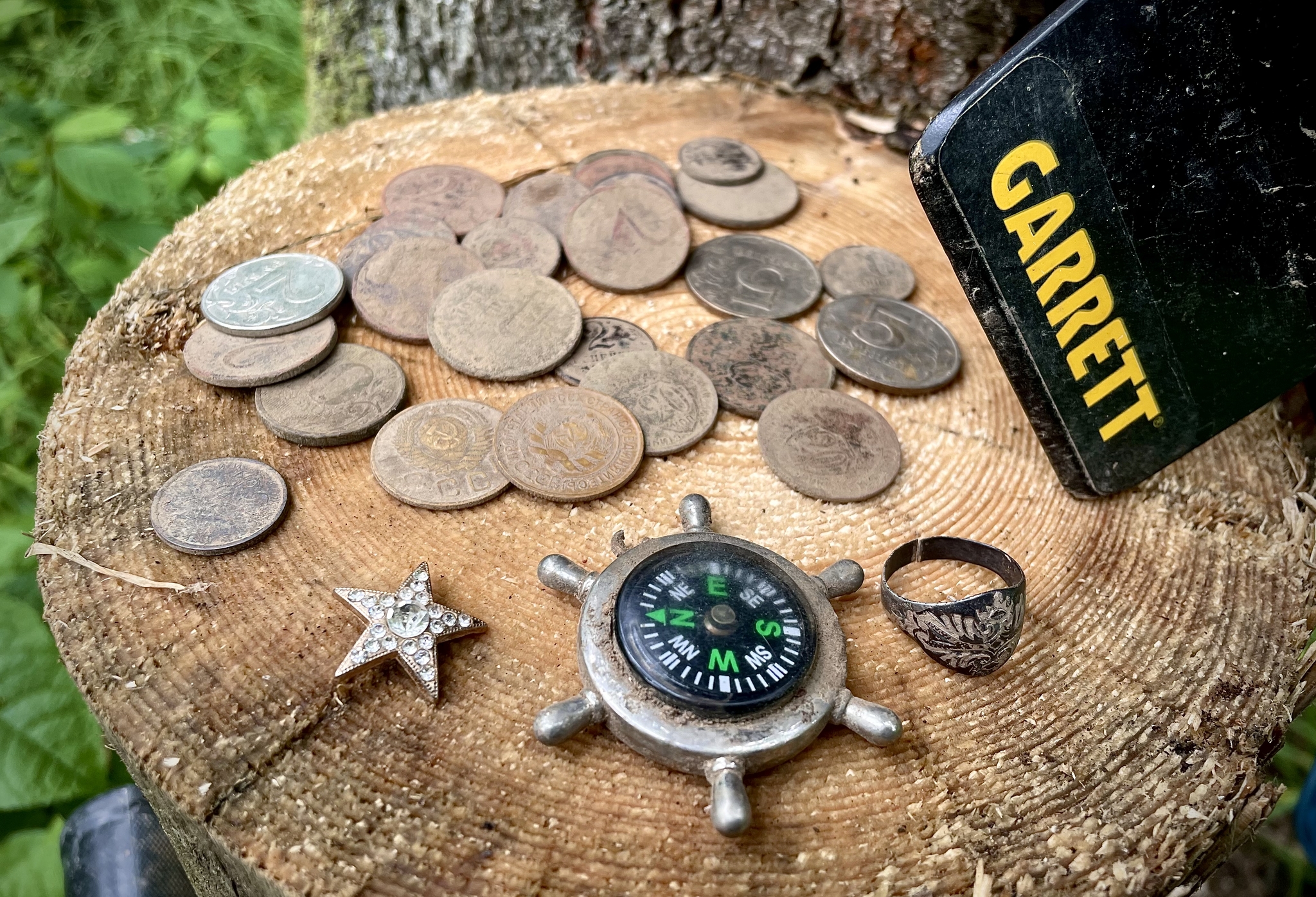 What can you find on forest paths? Advice for a novice treasure hunter - hidden treasures, Find, Hobby, Enthusiasm, Useful, Leisure, Treasure hunt, Morozova, Yandex Zen (link), Longpost