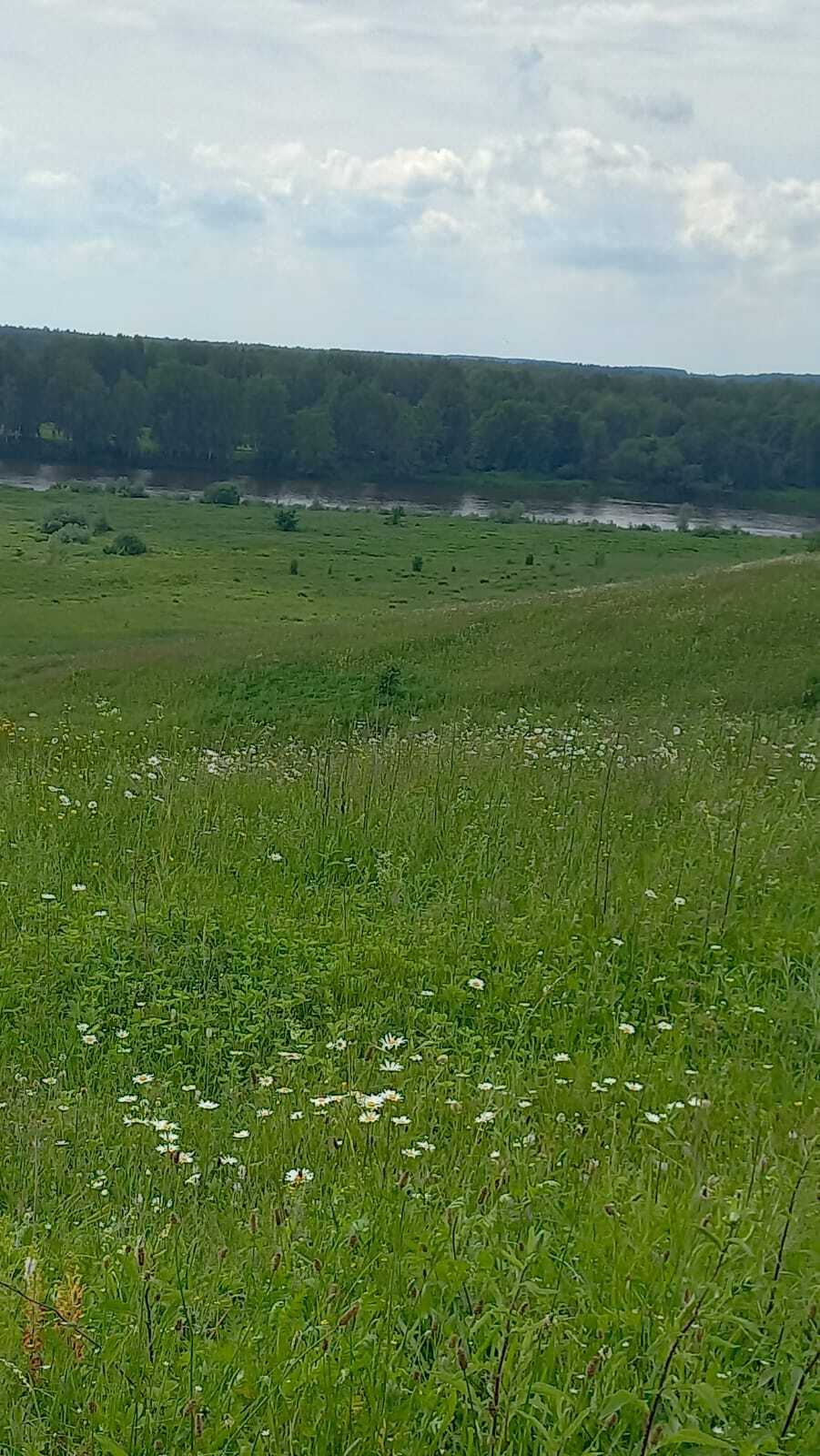 Nature - Nature, Field, Longpost