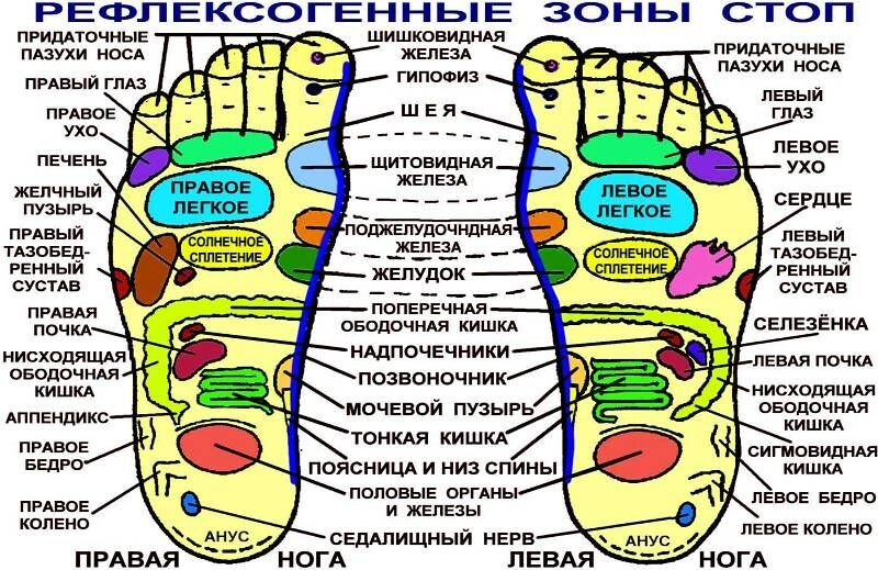 Take care of your feet! - Biology, Health, India, Telegram (link)