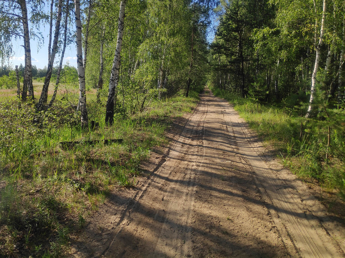 Walking tour from Ryazan to Solotcha - My, Walking, Ryazan, Ryazan Oblast, Solotcha, A bike, Forest, Walk in the woods, Longpost