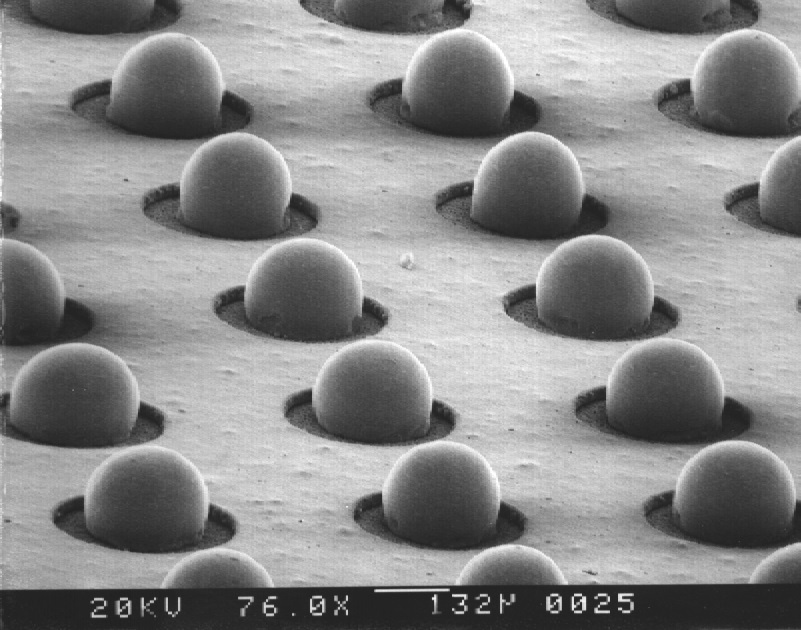 Electron microscope photo 44 - Nauchpop, Electron microscope, Longpost