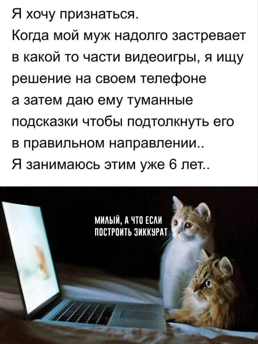 Post #11555629 - Humor, Picture with text, cat, Computer games, Telegram (link), Screenshot