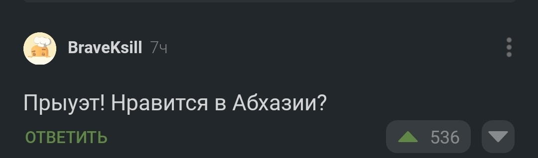 Ответ на пост «Давайте знакомиться))» - Обезьяна, Юмор, Животные, Крепкая девушка, Вертикальное видео, Орангутан, Абхазия, Ответ на пост, Длиннопост, Комментарии на Пикабу, Скриншот