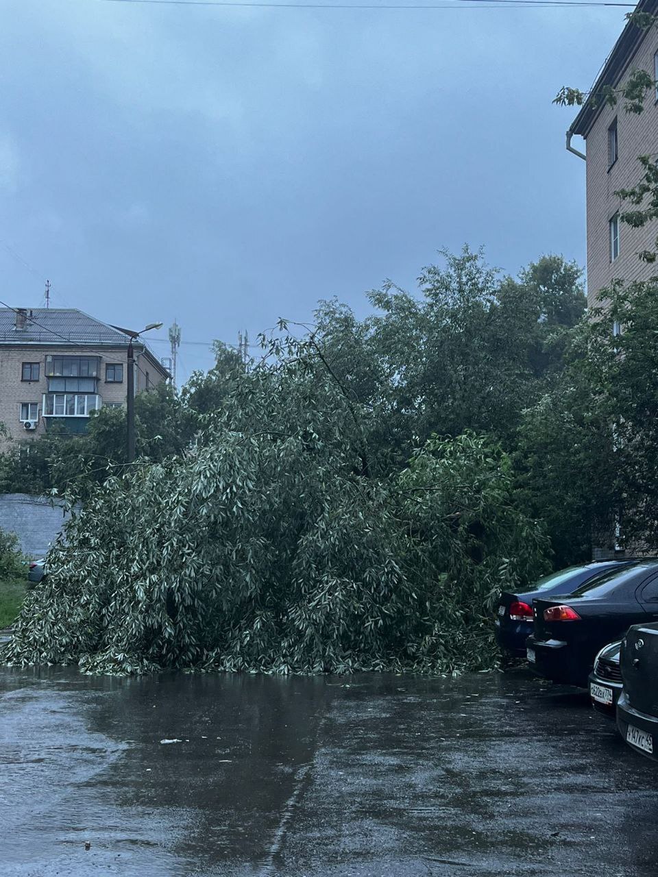 Дождливая погода окунает меня в атмосферу «Мой сосед Тоторо» - Дождь, Погодное явление, Длиннопост