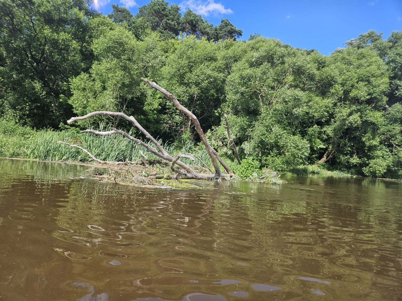 SUPER hike. Part 2 - My, River, Nature, Walk, SUPsurfing, Paddleboard, Moscow River, Leisure, Longpost, Mobile photography, Istra River, River rafting, Alloy, Travels