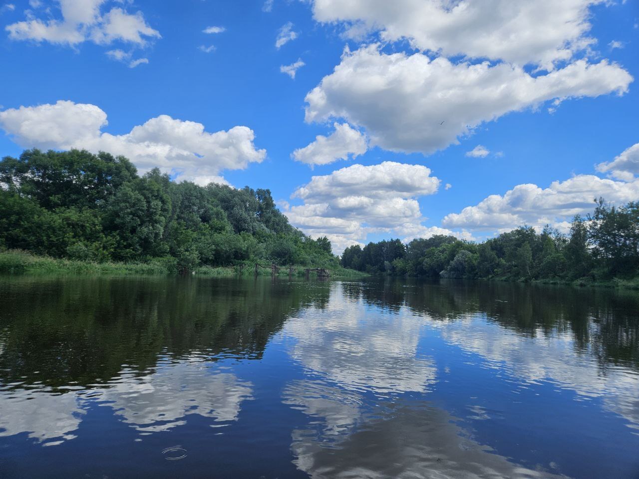 SUPER hike. Part 2 - My, River, Nature, Walk, SUPsurfing, Paddleboard, Moscow River, Leisure, Longpost, Mobile photography, Istra River, River rafting, Alloy, Travels