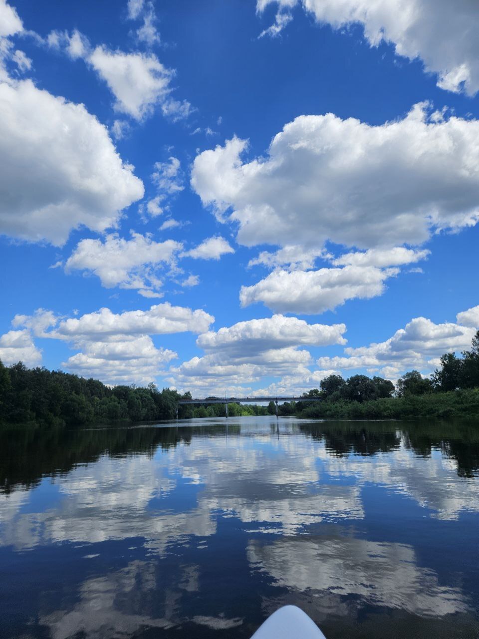 SUPER hike. Part 2 - My, River, Nature, Walk, SUPsurfing, Paddleboard, Moscow River, Leisure, Longpost, Mobile photography, Istra River, River rafting, Alloy, Travels