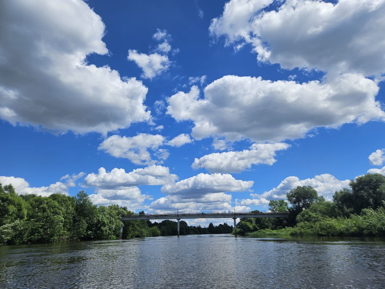 SUPER hike. Part 2 - My, River, Nature, Walk, SUPsurfing, Paddleboard, Moscow River, Leisure, Longpost, Mobile photography, Istra River, River rafting, Alloy, Travels