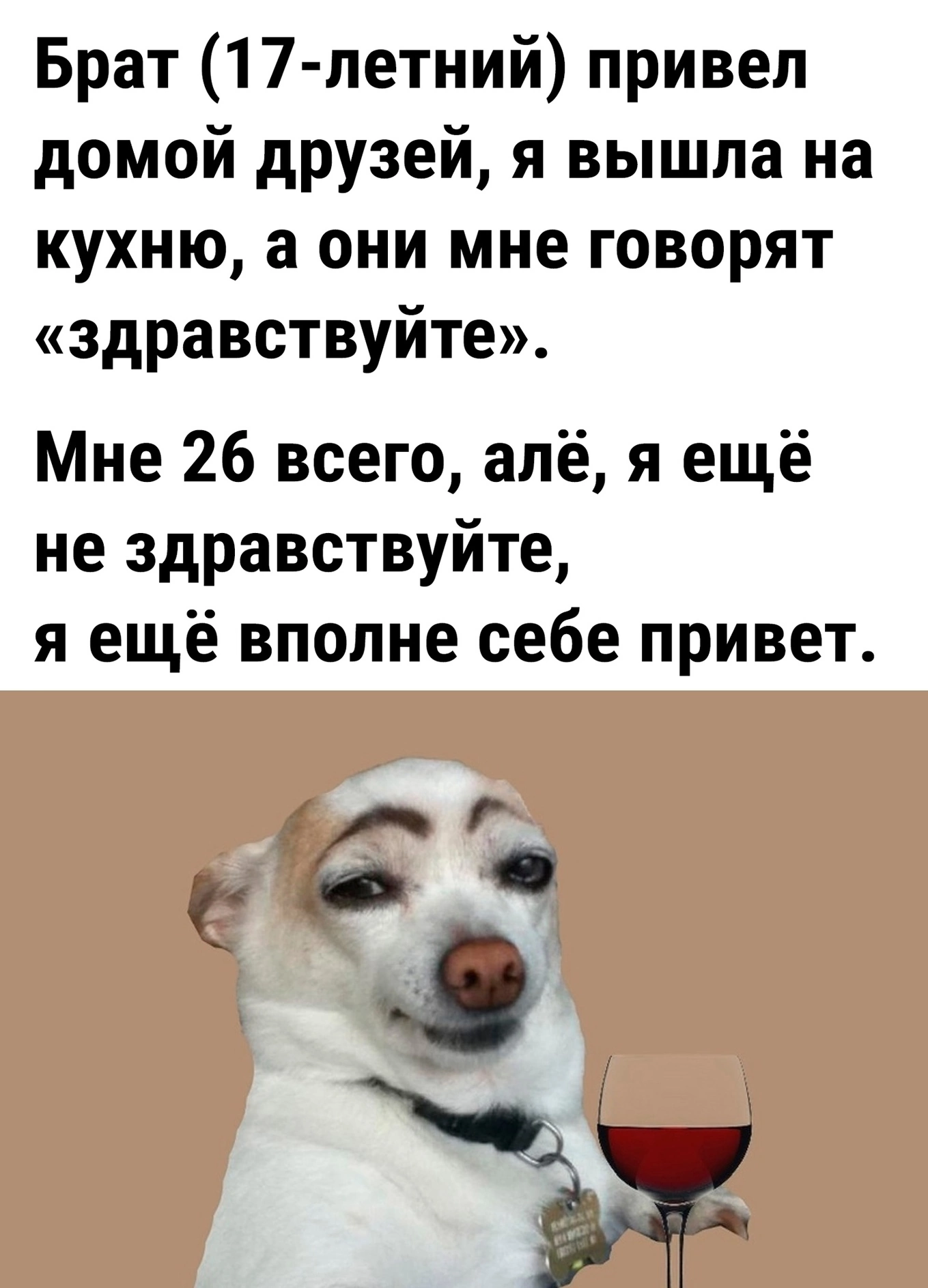 No need to be so polite - Picture with text, Вежливость, Age, Dog