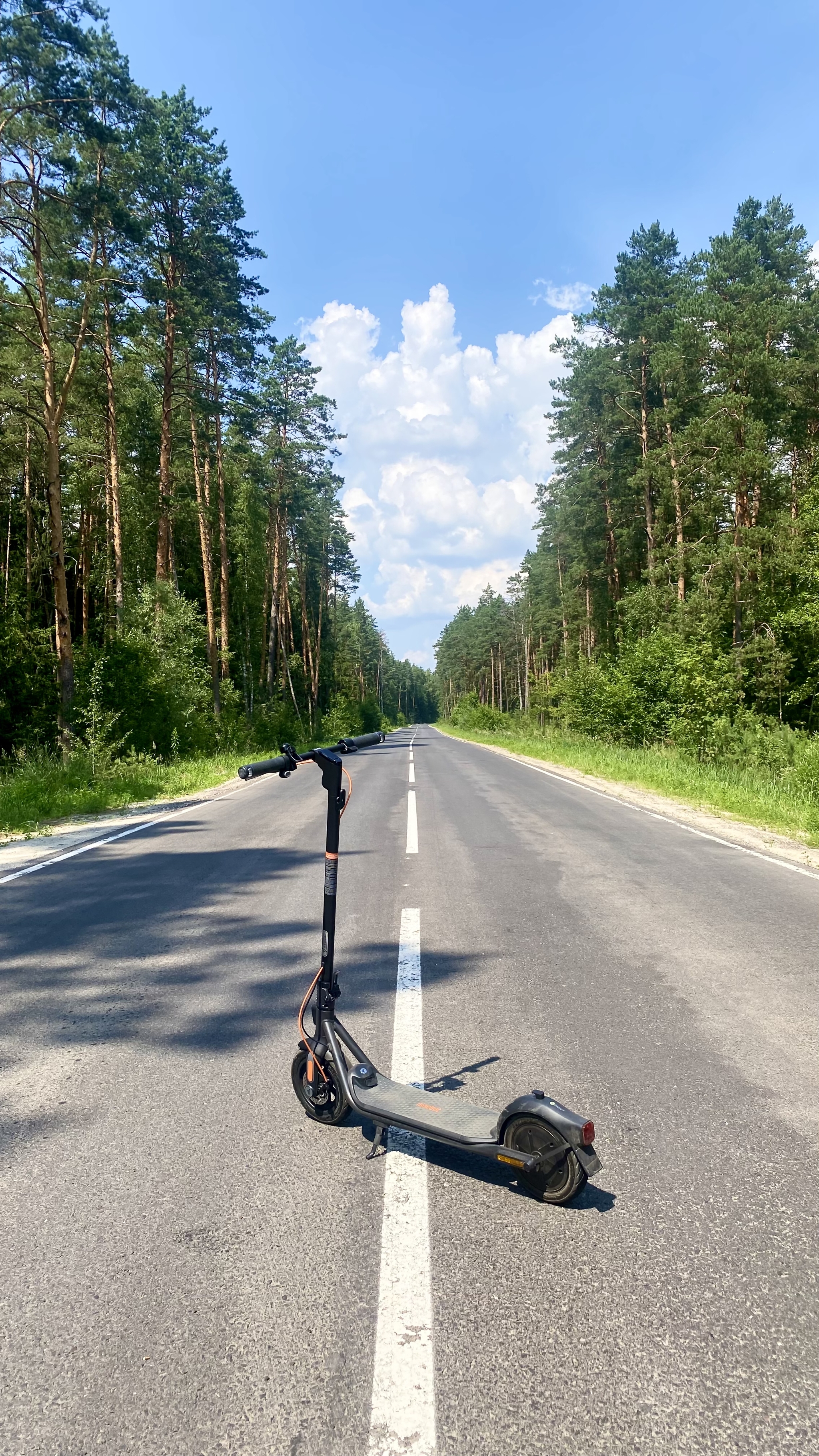 Rides in the forest - My, Forest, Kick scooter, Mobile photography