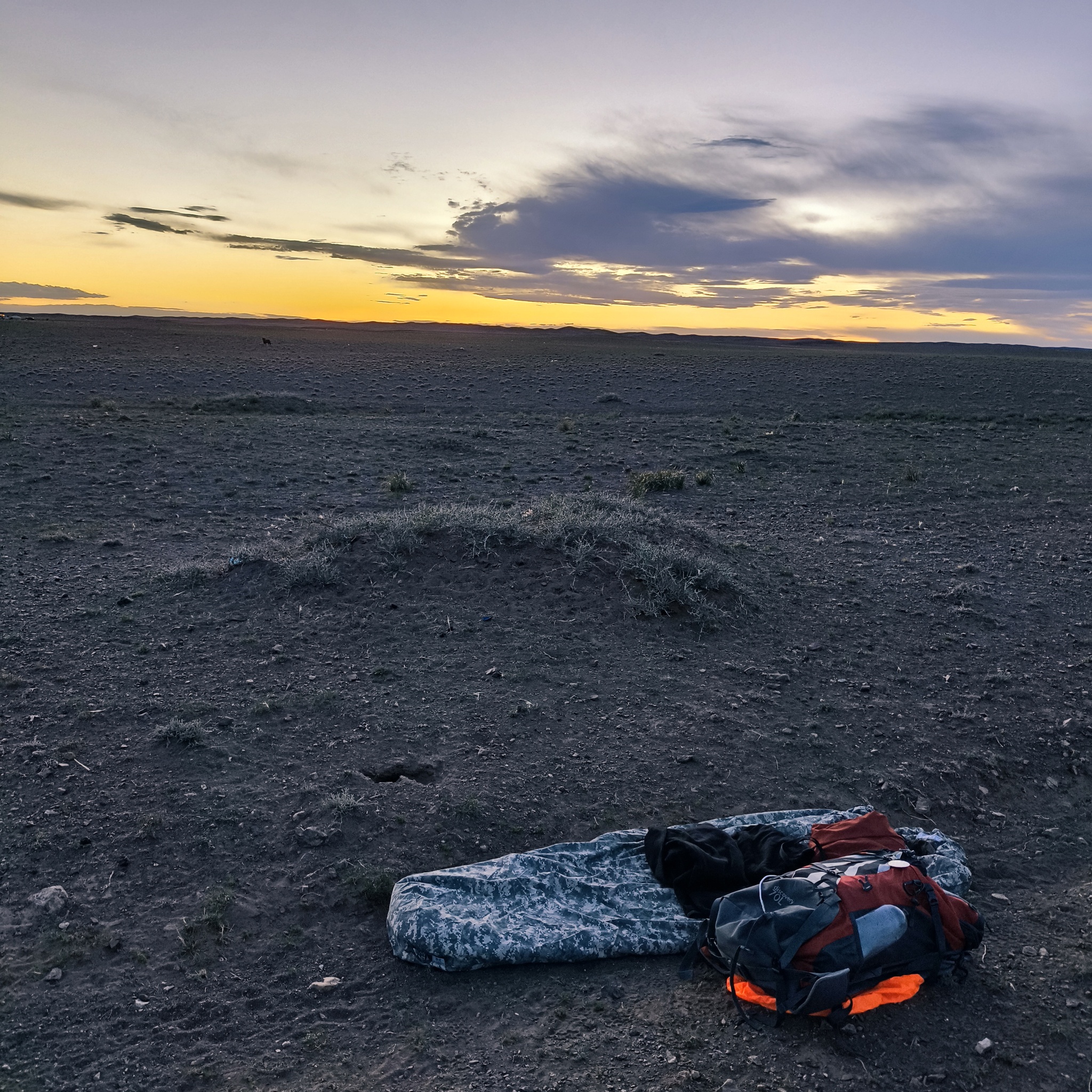 Diary of a trip to Melanesia. Day 6. I have a beard. Path to Gobi - My, Life stories, Drive, Around the world, Gobi, Mongolia, Desert, Informative, Travels, Longpost