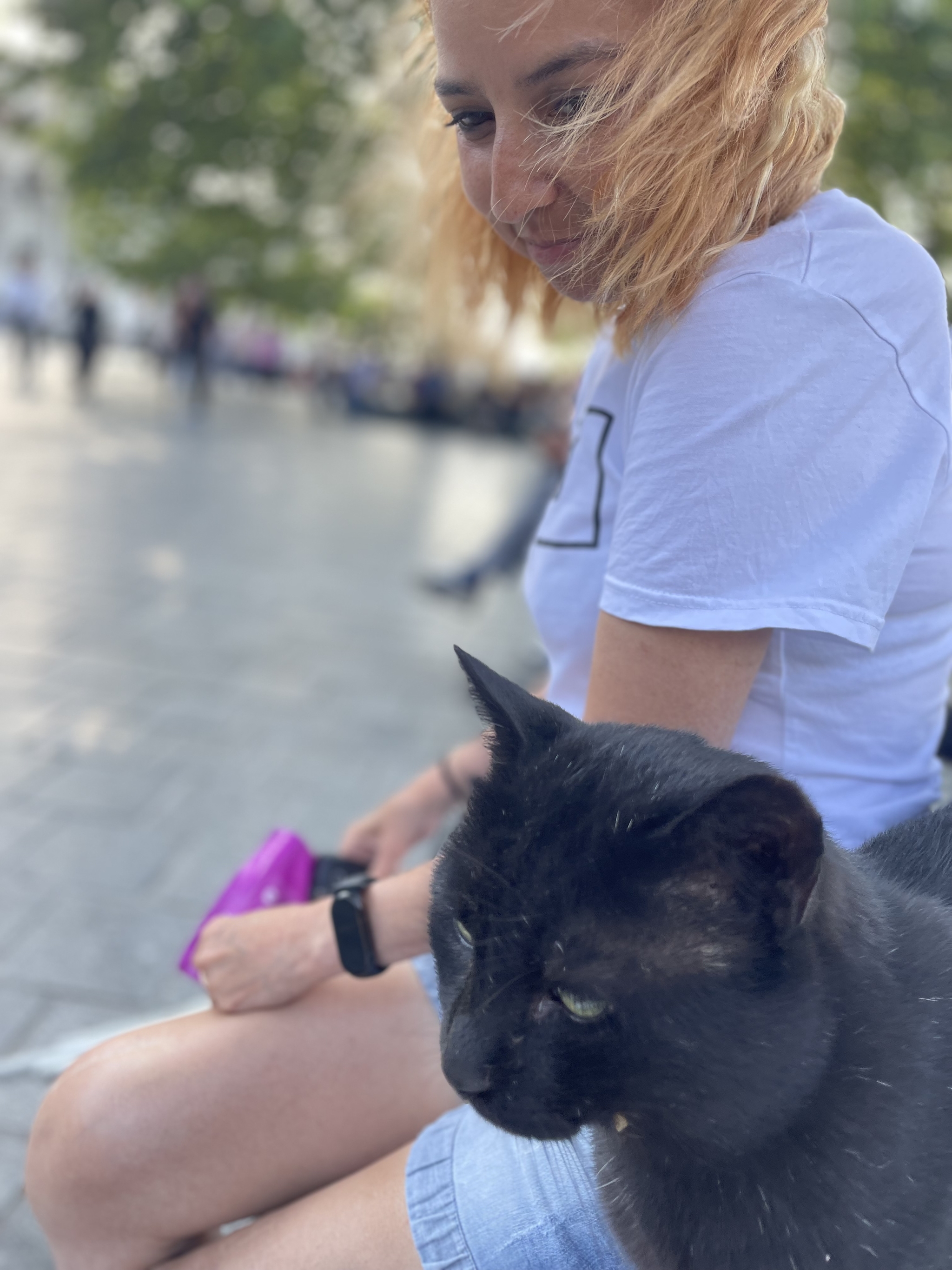 Just. Istanbul. Seals - My, Pet the cat, Istanbul, Street photography, Vacation, Longpost, cat