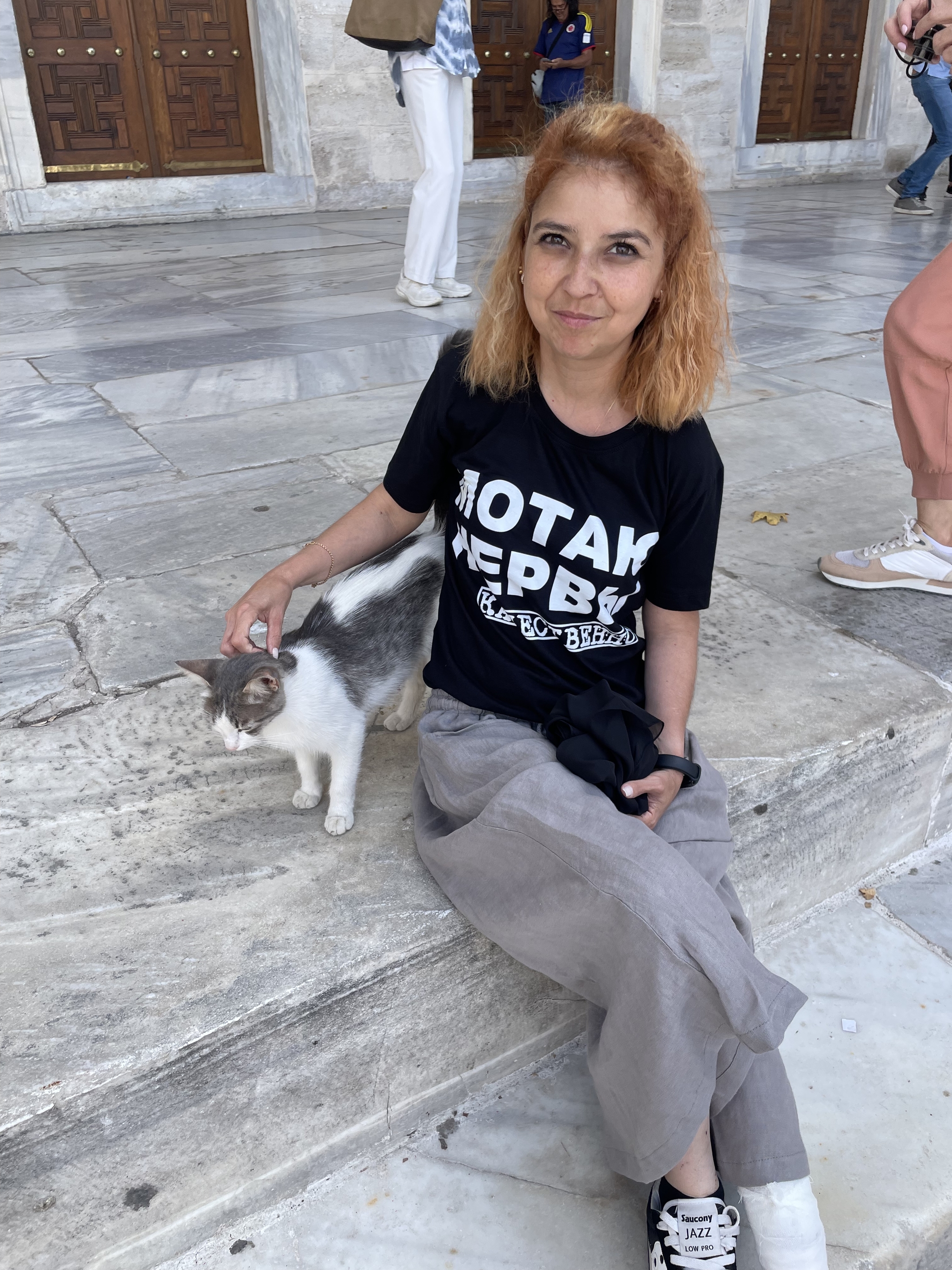 Just. Istanbul. Seals - My, Pet the cat, Istanbul, Street photography, Vacation, Longpost, cat