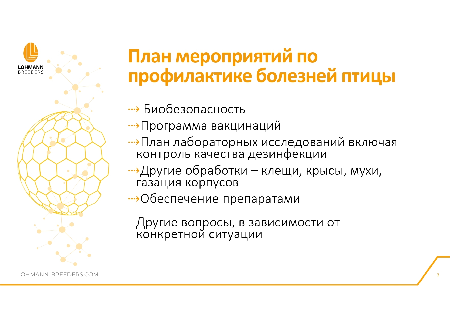 Программа ветеринарных мероприятий на предприятиях яичного направления в современных условиях - Сельское хозяйство, Курица, Деревня, Telegram (ссылка), Птицы, Длиннопост