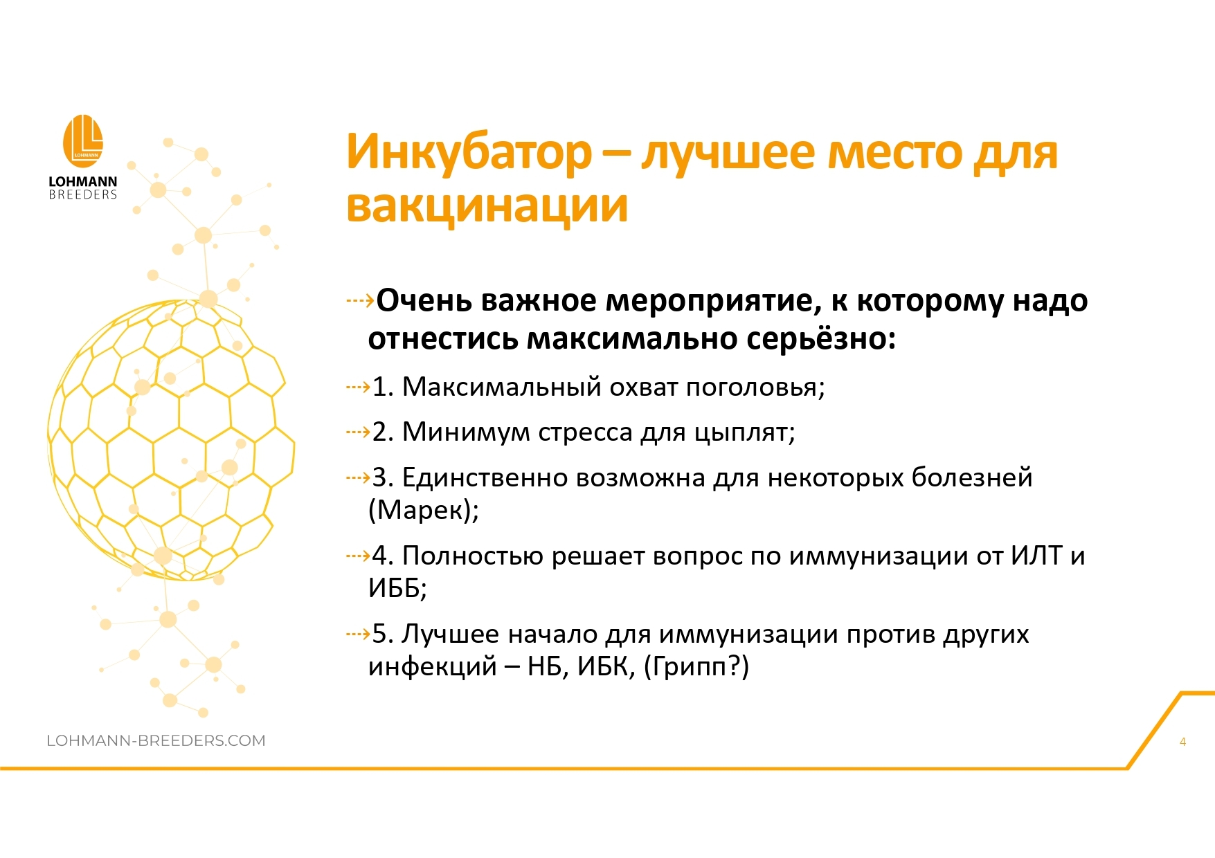 Программа ветеринарных мероприятий на предприятиях яичного направления в современных условиях - Сельское хозяйство, Курица, Деревня, Telegram (ссылка), Птицы, Длиннопост