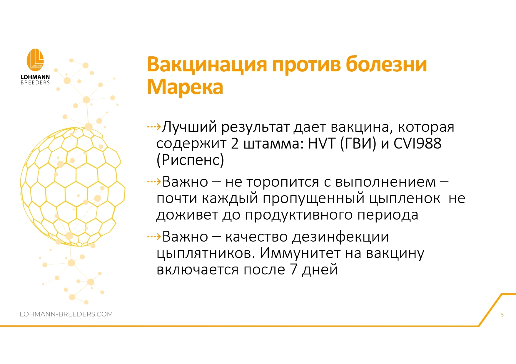 Программа ветеринарных мероприятий на предприятиях яичного направления в современных условиях - Сельское хозяйство, Курица, Деревня, Telegram (ссылка), Птицы, Длиннопост