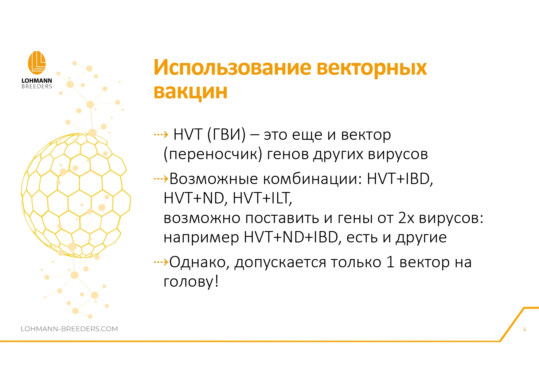 Программа ветеринарных мероприятий на предприятиях яичного направления в современных условиях - Сельское хозяйство, Курица, Деревня, Telegram (ссылка), Птицы, Длиннопост