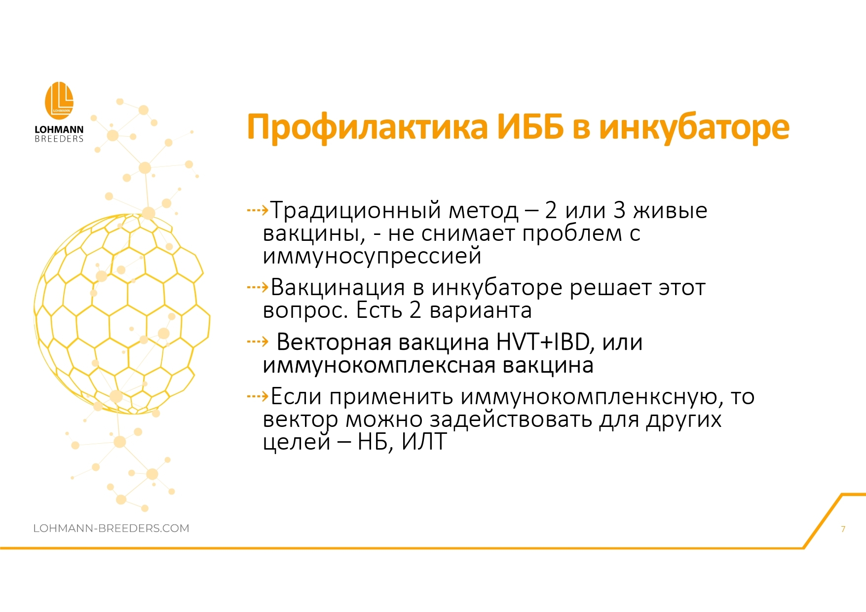 Программа ветеринарных мероприятий на предприятиях яичного направления в современных условиях - Сельское хозяйство, Курица, Деревня, Telegram (ссылка), Птицы, Длиннопост