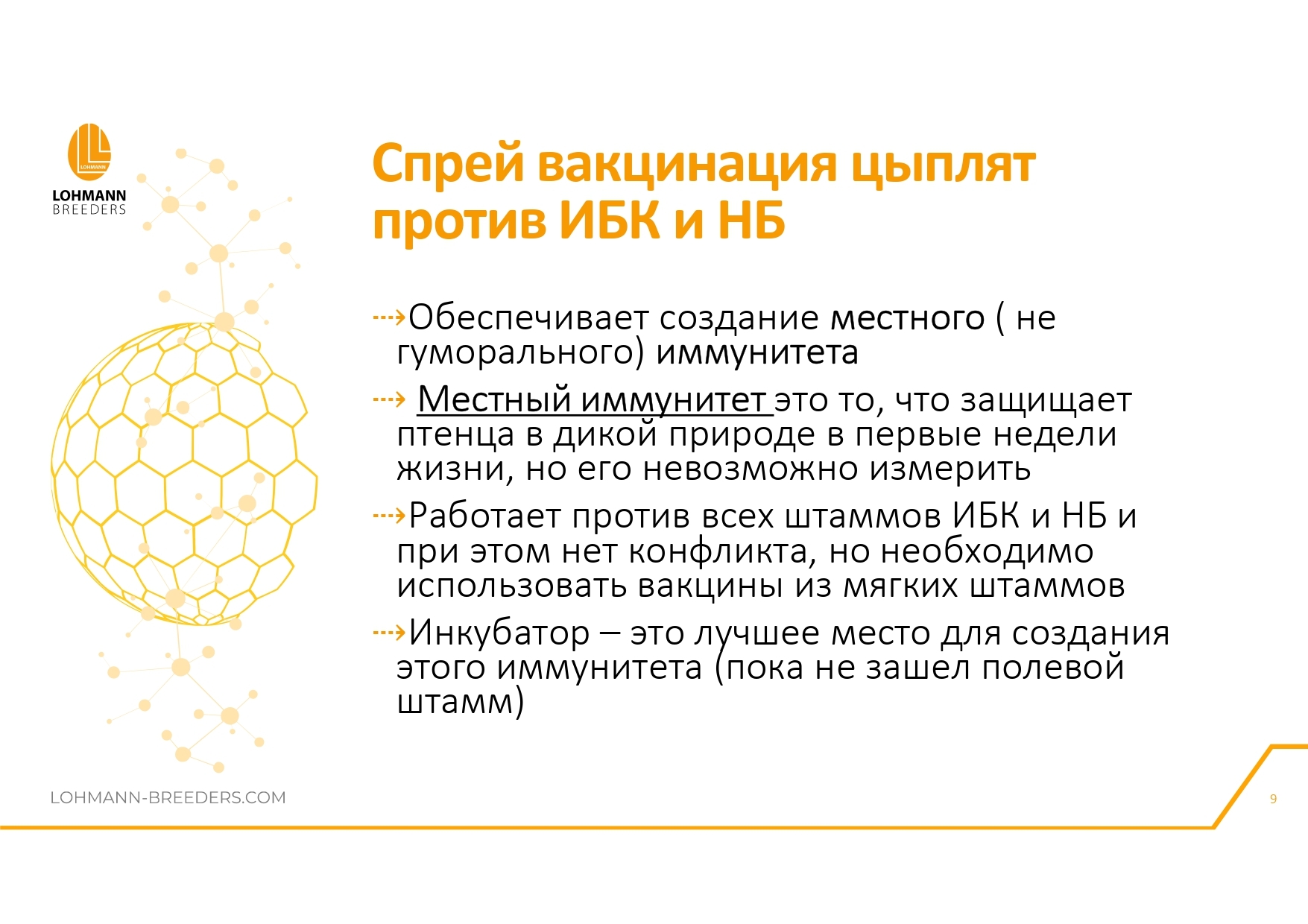 Программа ветеринарных мероприятий на предприятиях яичного направления в современных условиях - Сельское хозяйство, Курица, Деревня, Telegram (ссылка), Птицы, Длиннопост