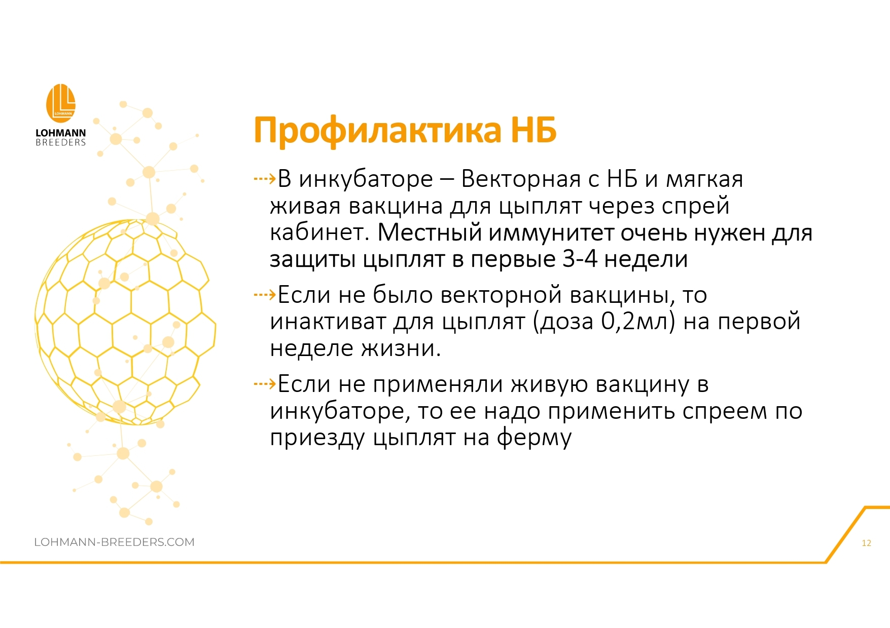 Программа ветеринарных мероприятий на предприятиях яичного направления в современных условиях - Сельское хозяйство, Курица, Деревня, Telegram (ссылка), Птицы, Длиннопост