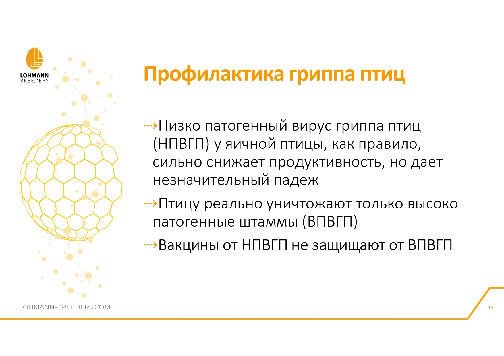 Программа ветеринарных мероприятий на предприятиях яичного направления в современных условиях - Сельское хозяйство, Курица, Деревня, Telegram (ссылка), Птицы, Длиннопост