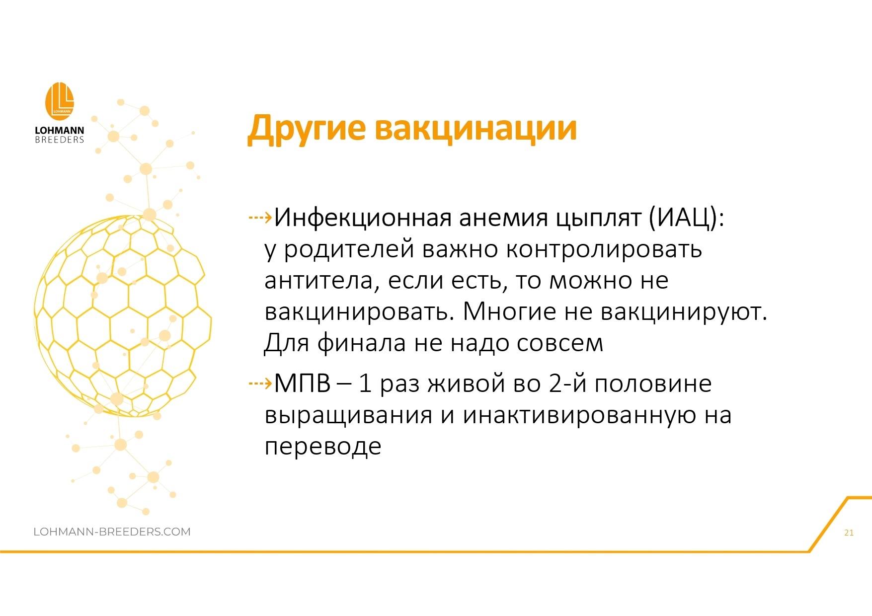 Программа ветеринарных мероприятий на предприятиях яичного направления в современных условиях - Сельское хозяйство, Курица, Деревня, Telegram (ссылка), Птицы, Длиннопост