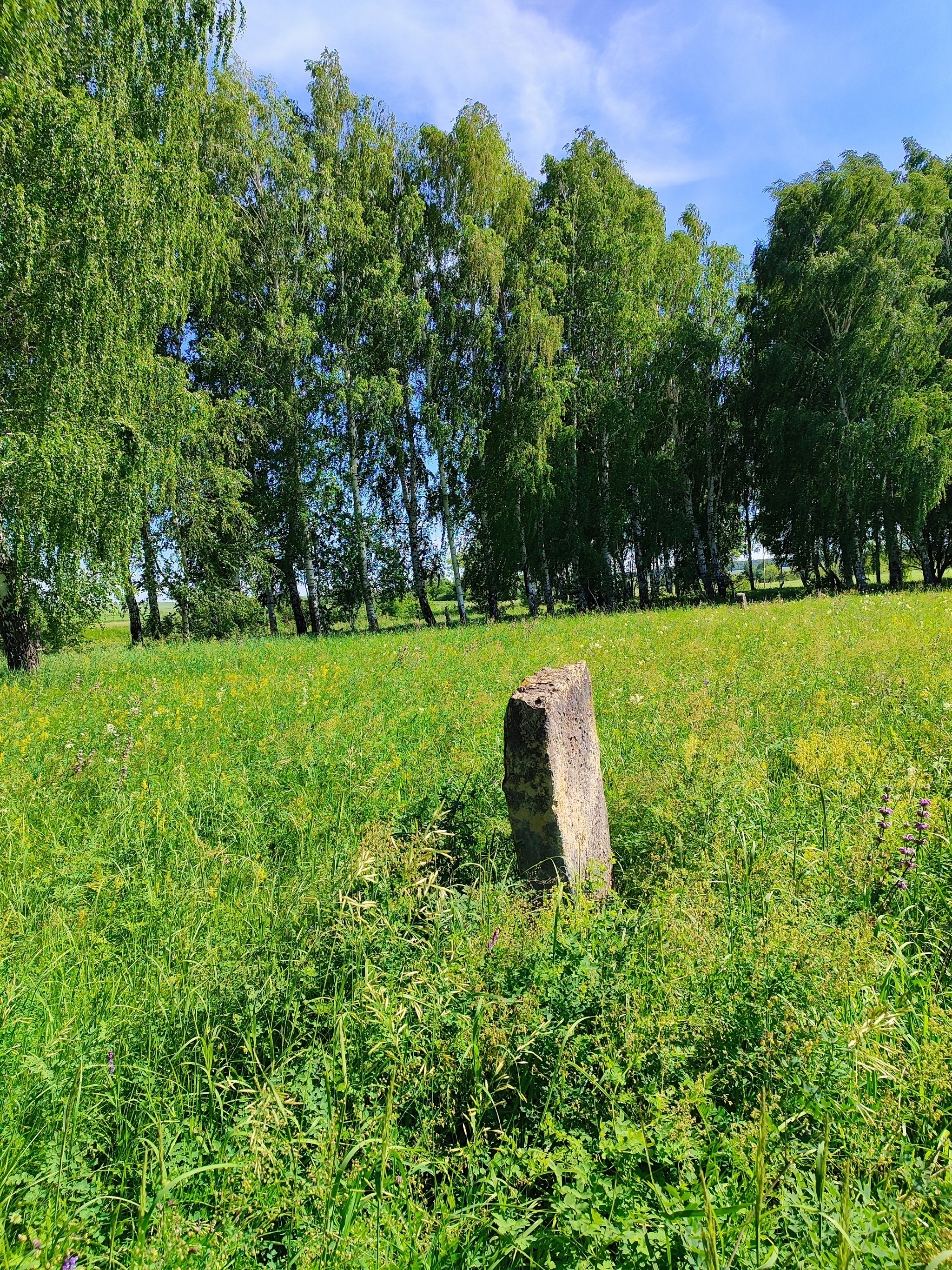 I was looking for mushrooms and found stones (added) - Burial, Headstone, Question, Antiquity, Archaeological finds, Longpost