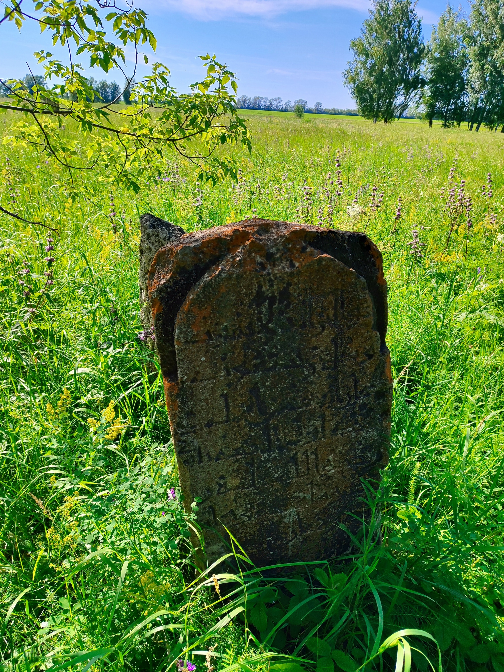 I was looking for mushrooms and found stones (added) - Burial, Headstone, Question, Antiquity, Archaeological finds, Longpost