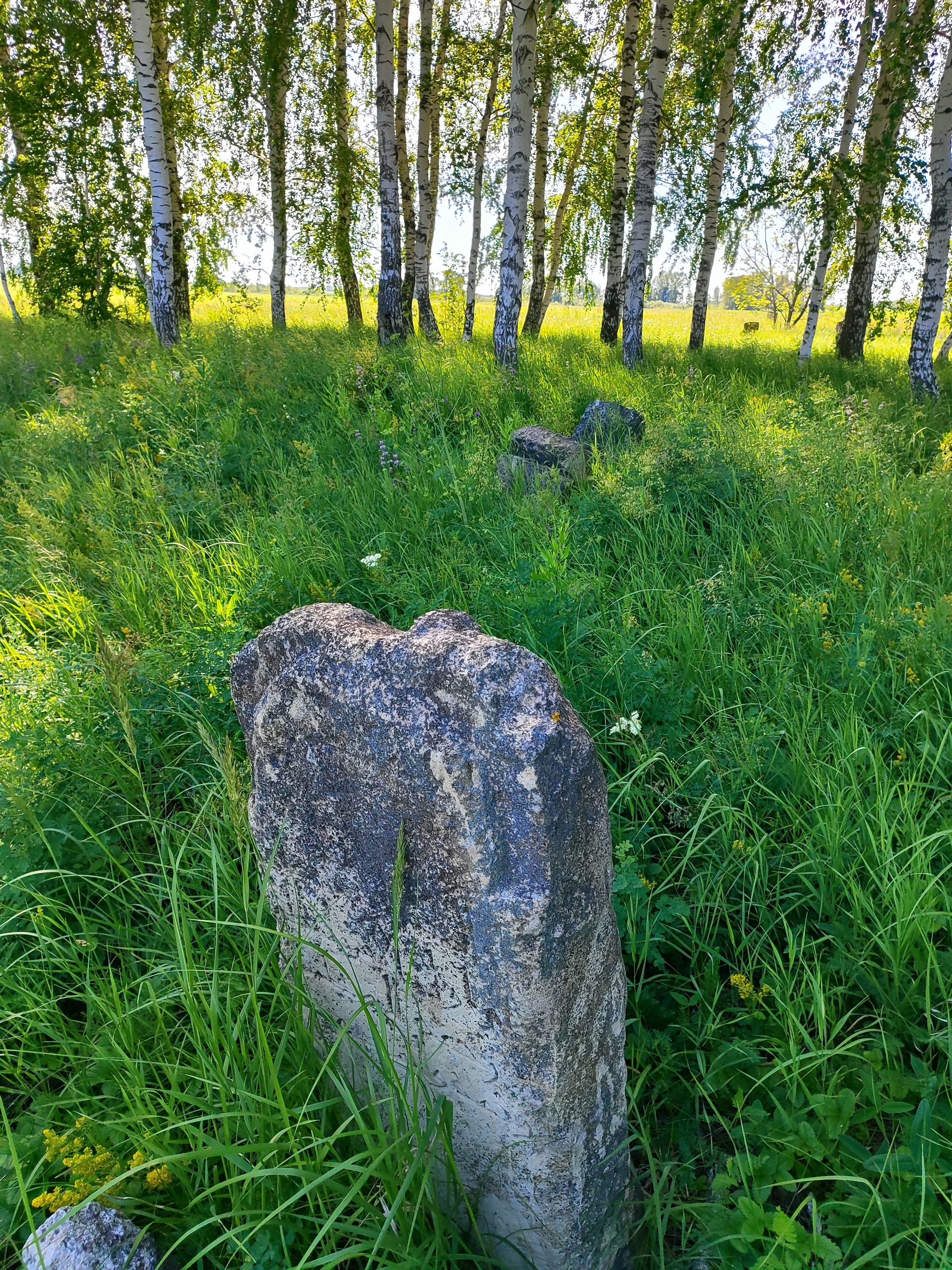 I was looking for mushrooms and found stones (added) - Burial, Headstone, Question, Antiquity, Archaeological finds, Longpost