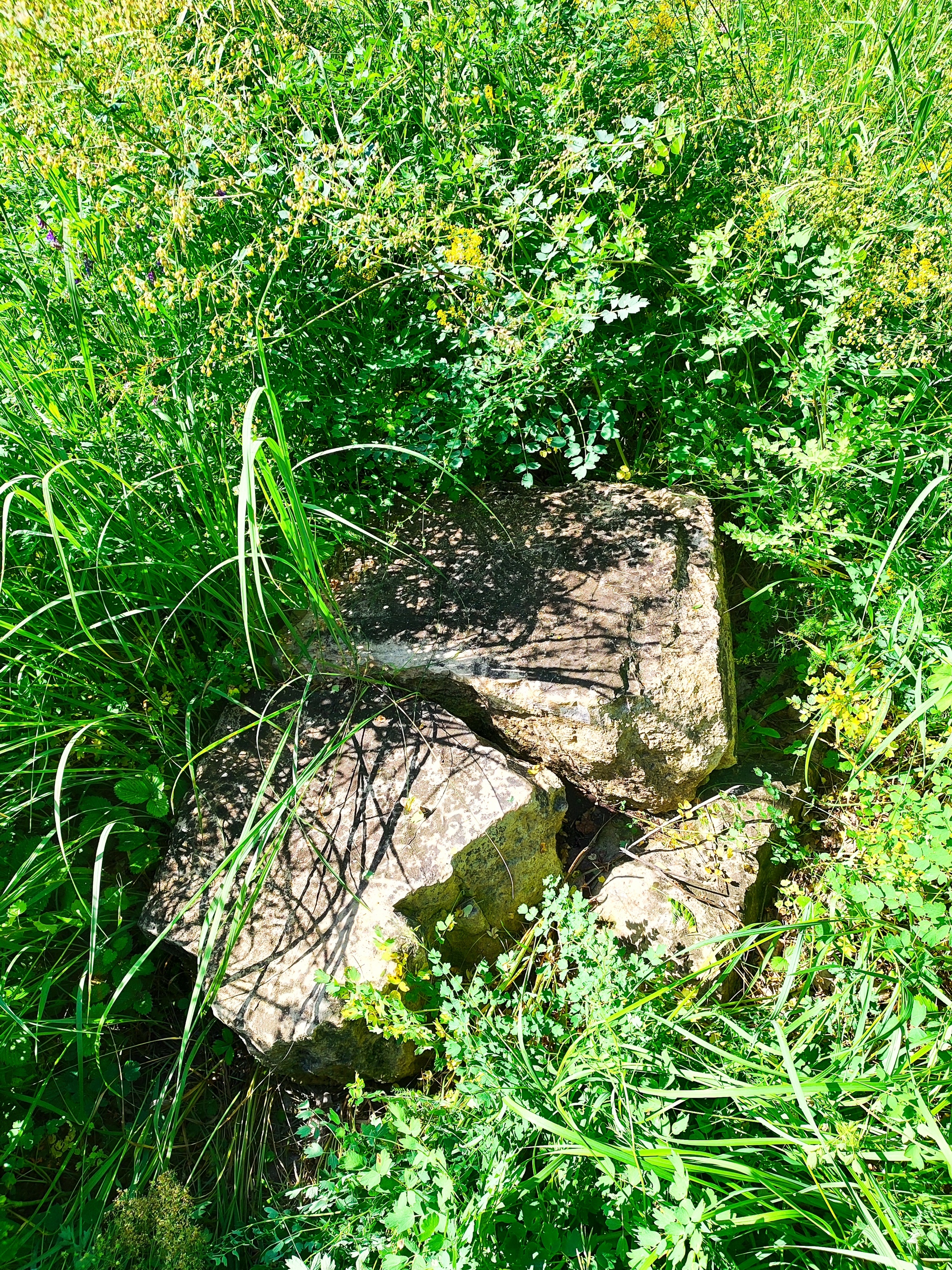 I was looking for mushrooms and found stones (added) - Burial, Headstone, Question, Antiquity, Archaeological finds, Longpost