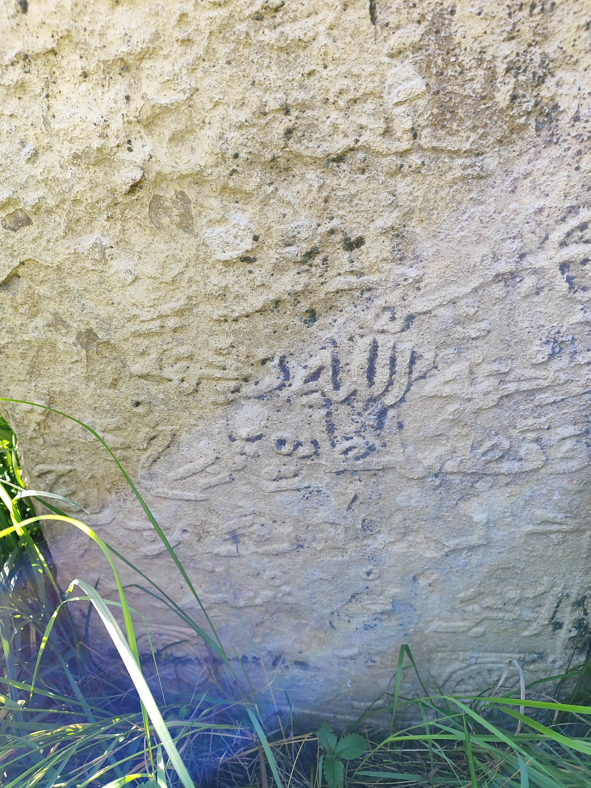 I was looking for mushrooms and found stones (added) - Burial, Headstone, Question, Antiquity, Archaeological finds, Longpost