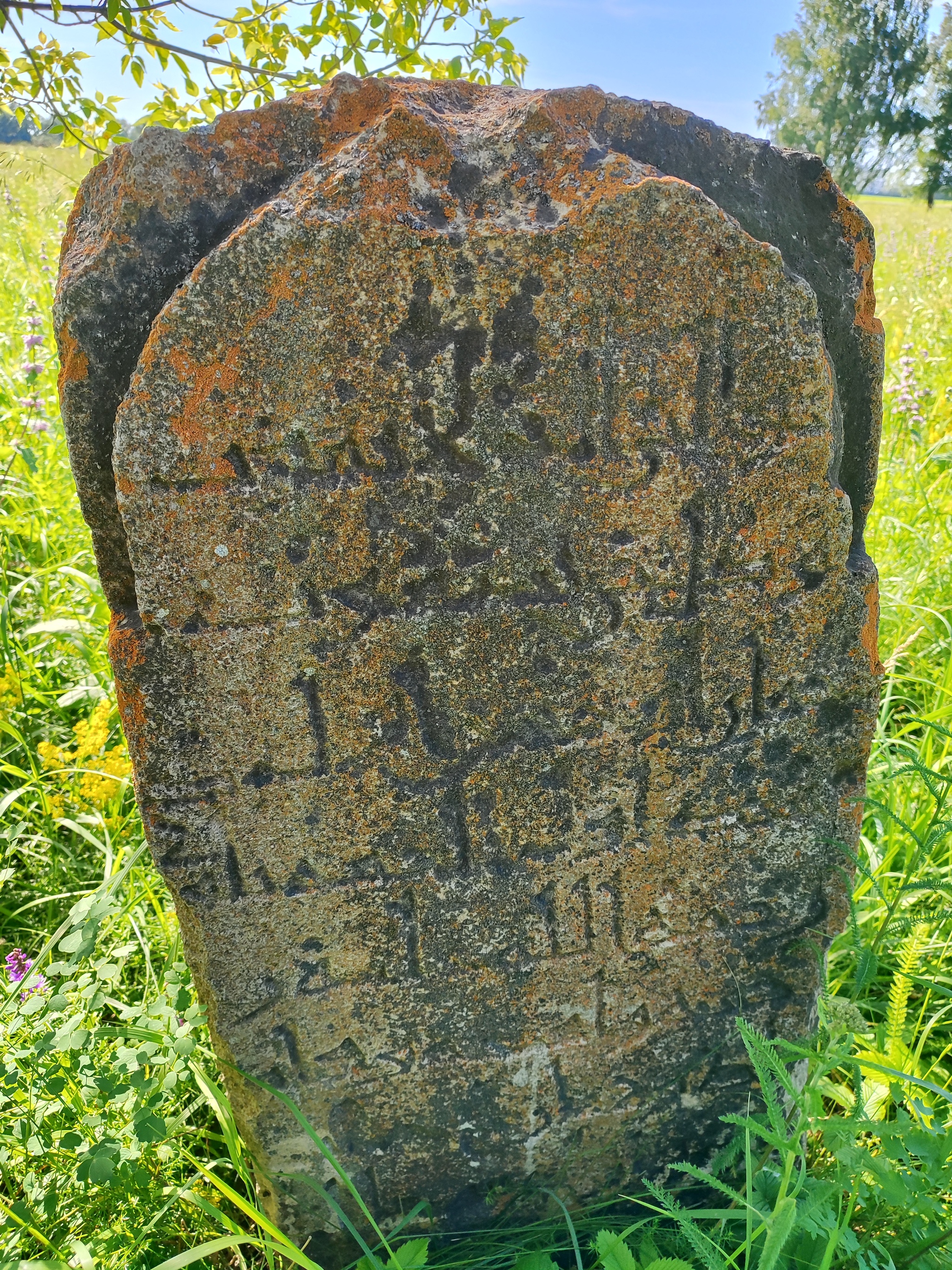 I was looking for mushrooms and found stones (added) - Burial, Headstone, Question, Antiquity, Archaeological finds, Longpost