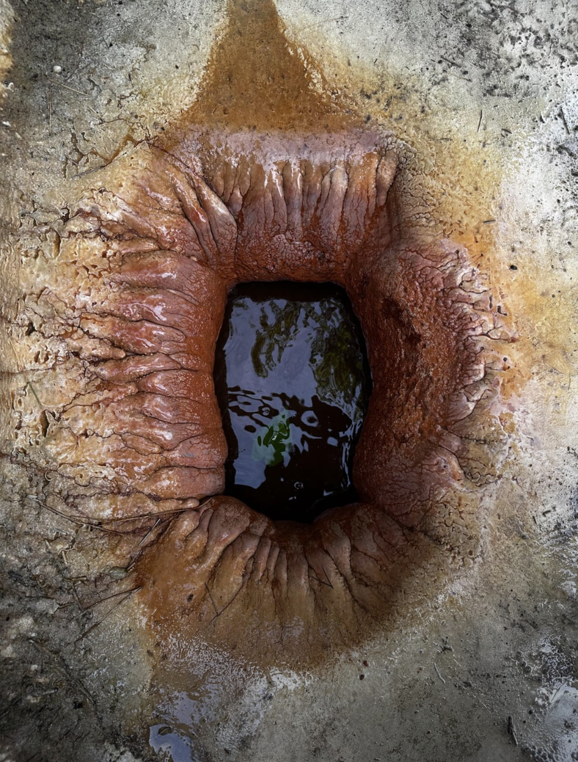 Help me unsee - Humor, Hole, The park, Unusual, Similarity, It seemed, The photo