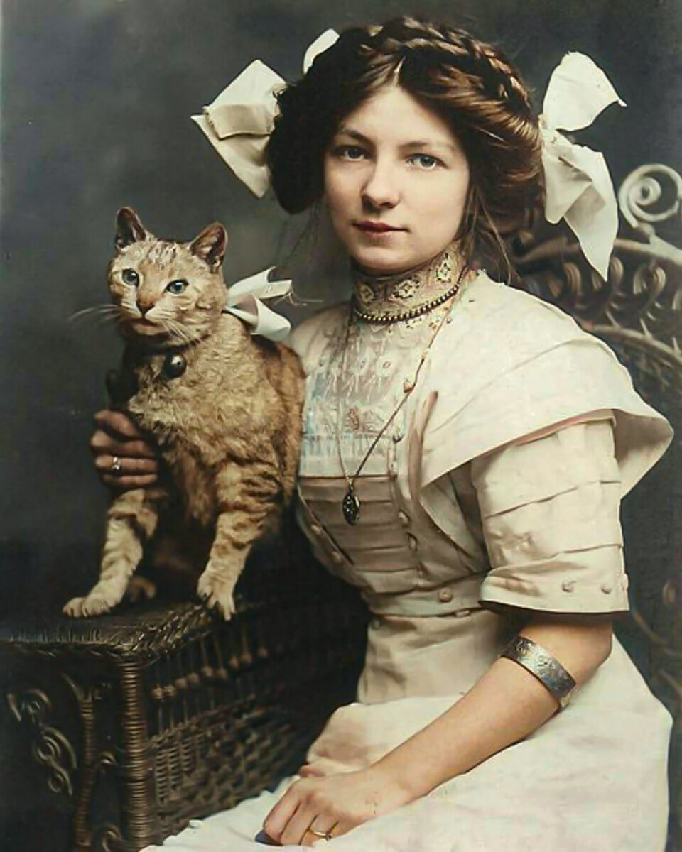 A selection of funny and funny photos with cats that will cheer you up. 20 colored photographs from the 20th century - My, Old photo, Historical photo, Colorization, The photo, cat, Cat family, 19th century, 20th century, Longpost