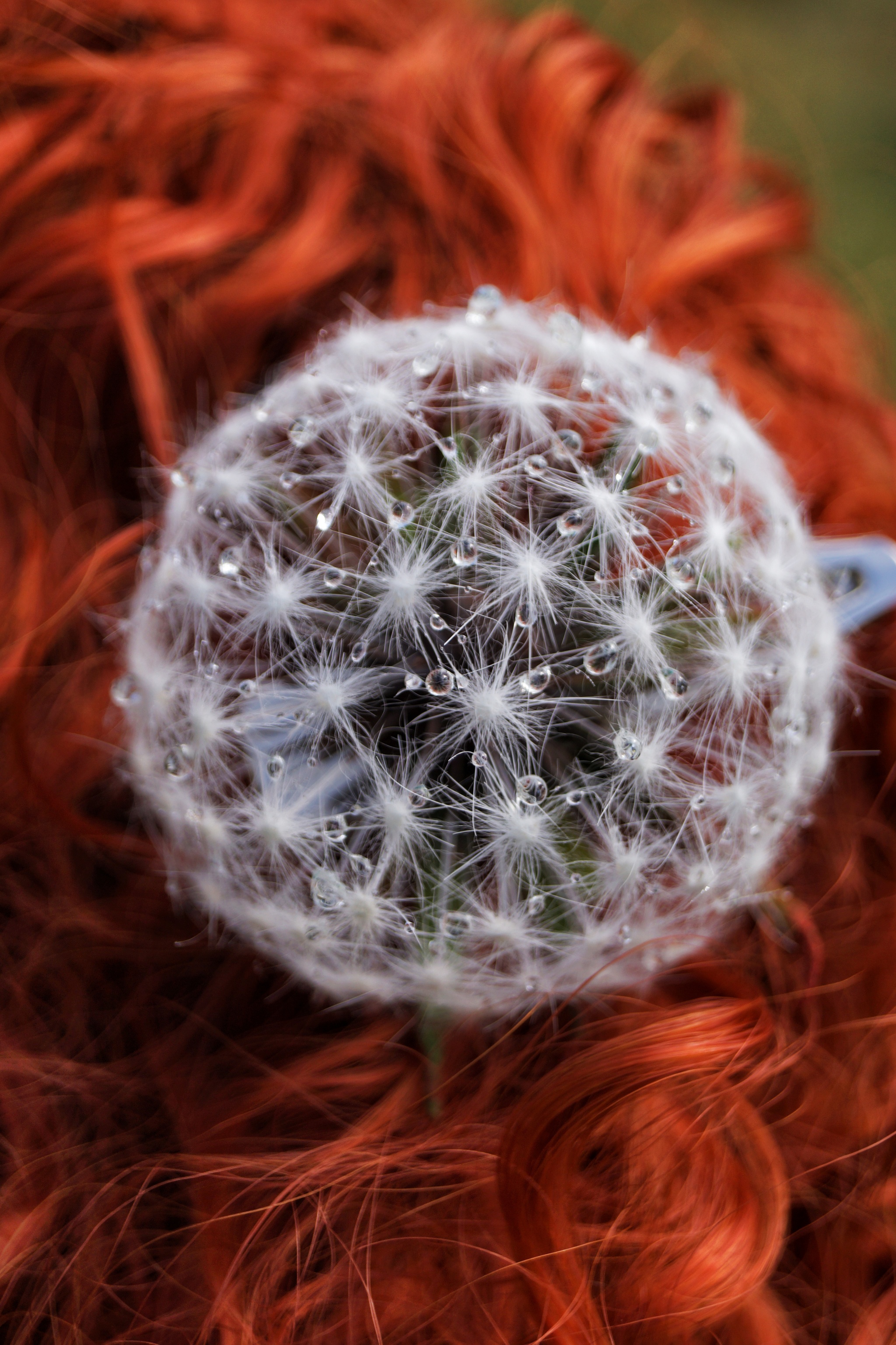 What do dandelions hide. How do I create them? - My, Process, Handmade, Workshop, Needlework without process, Needlework with process, Hobby, Art, Creation, Master, Decoration, For women, Accessories, Bijouterie, Presents, Dandelion, Flowers, Earrings, Brooch, Longpost