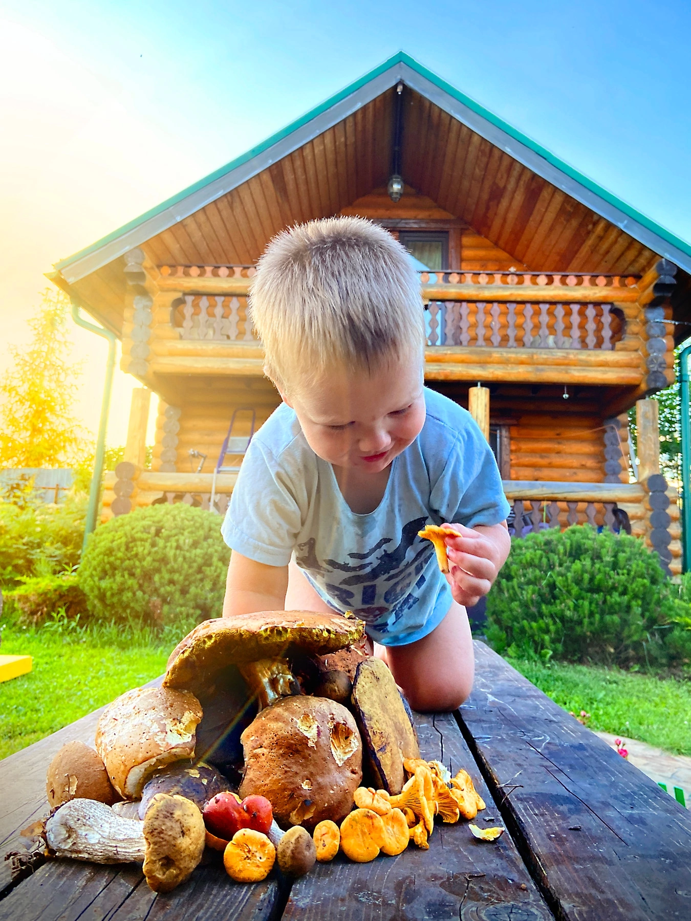 Mushrooms - My, Dog, Mushrooms, Children, Poodle, The photo, Longpost