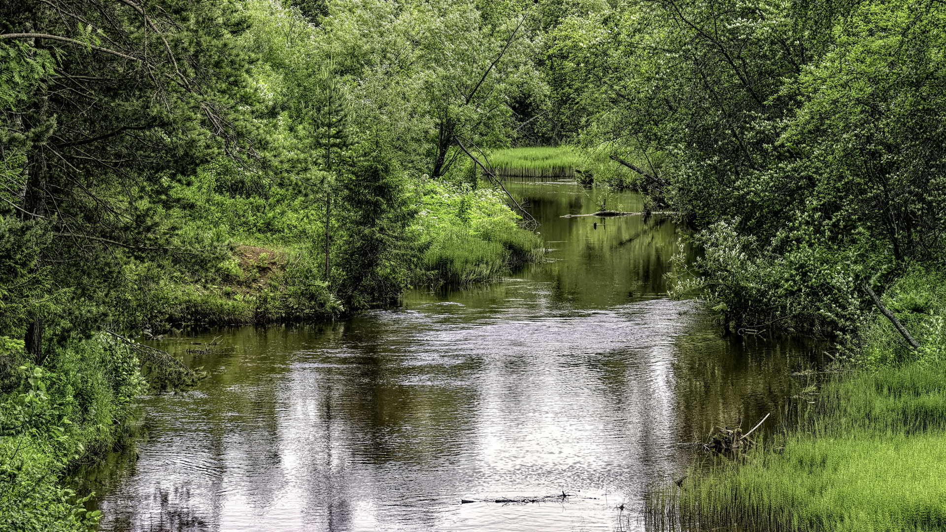 Idyll - My, The photo, Canon, Nature, Landscape, Summer, River, Perspective, Forest, Middle Ural, Beginning photographer