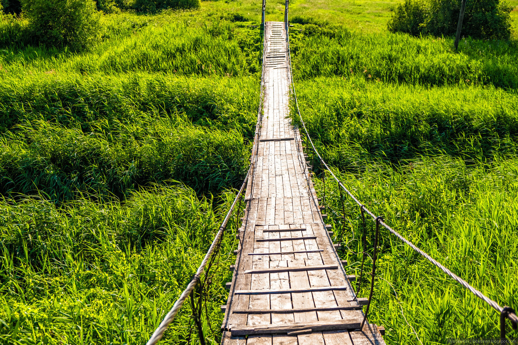 Suspension bridge over the false river - My, Nizhny Novgorod Region, The photo, Suspension bridge, Bridge, Village, Village, Summer, Provinces, Longpost