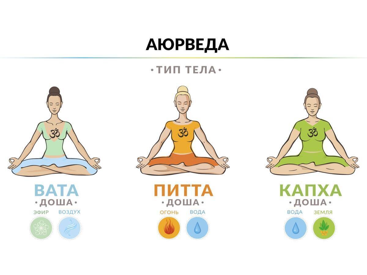 Three types of human body - Self-development, Health, Sport, Yandex Zen (link), Longpost