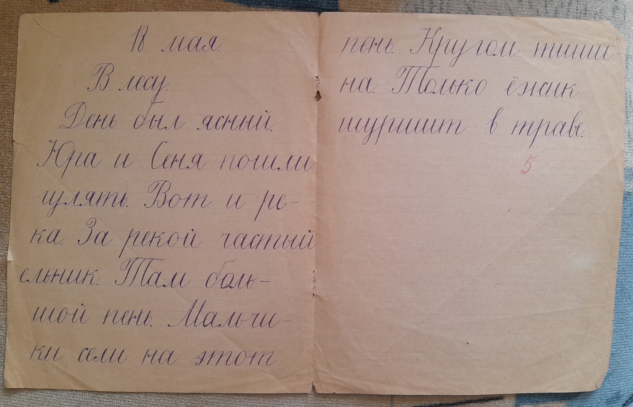 Control dictation of 1956 - My, the USSR, Childhood in the USSR, Prescriptions, Calligraphy, Russian language, Memory, Longpost