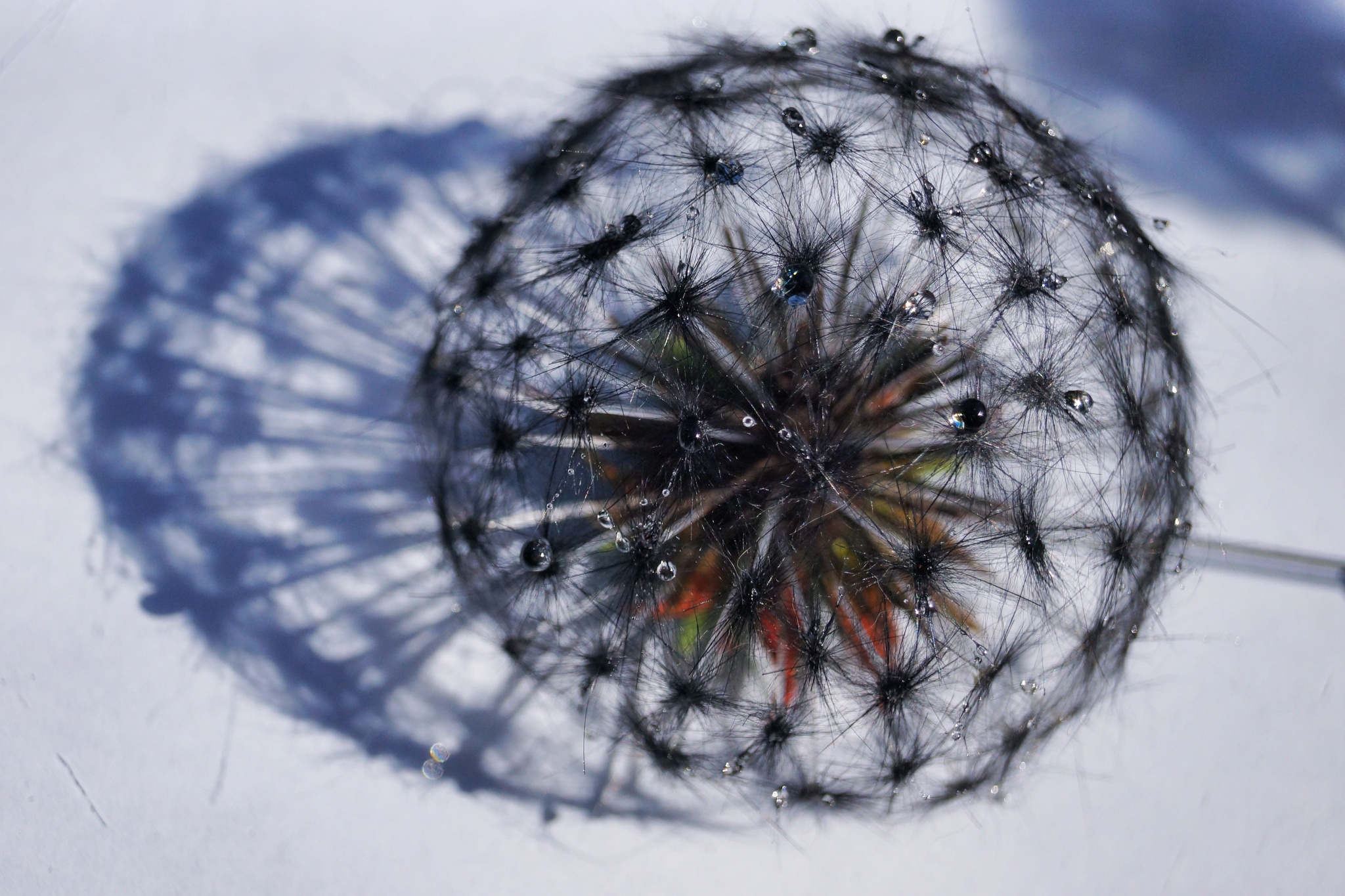 Just a black dandelion - My, Marketplace, Longpost, Hobby, Handmade, Creation, Needlework without process