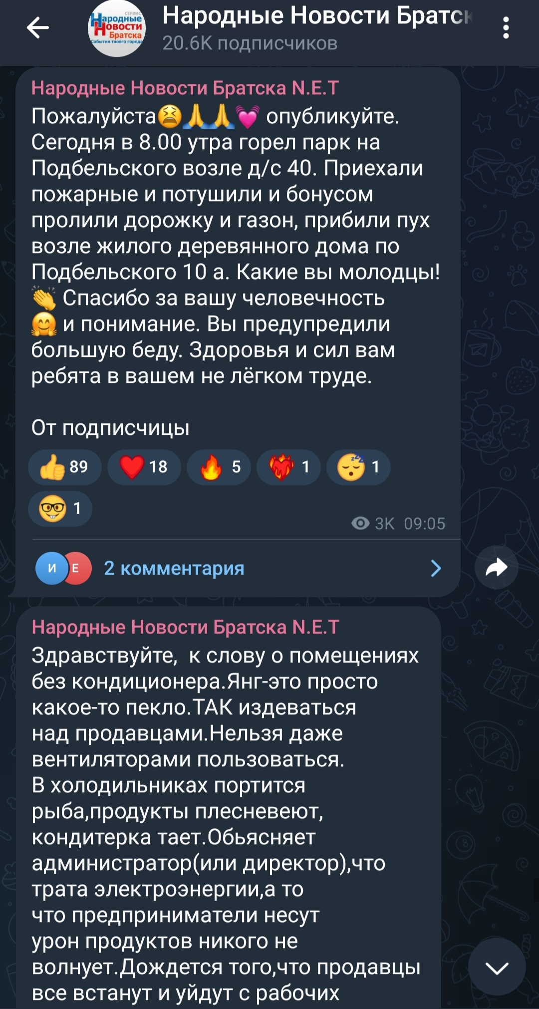 Продолжение поста «Критическая ситуация с пожарами в Братске» - Братск, Братская ГЭС, Следственный комитет, Александр Бастрыкин, Пожар, Политика, Выборы, Выборы мэра, Без рейтинга, Ответ на пост, Длиннопост