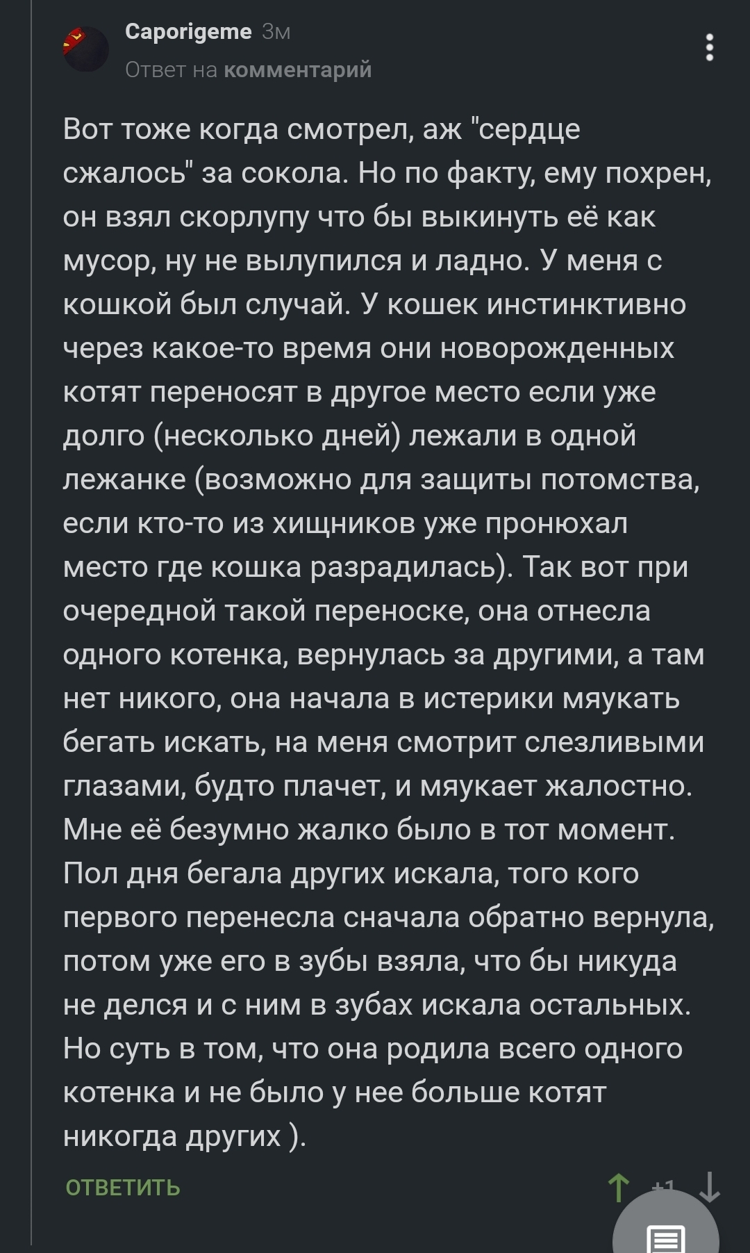 Драматический сюжет с неожиданным концом - Скриншот, Комментарии