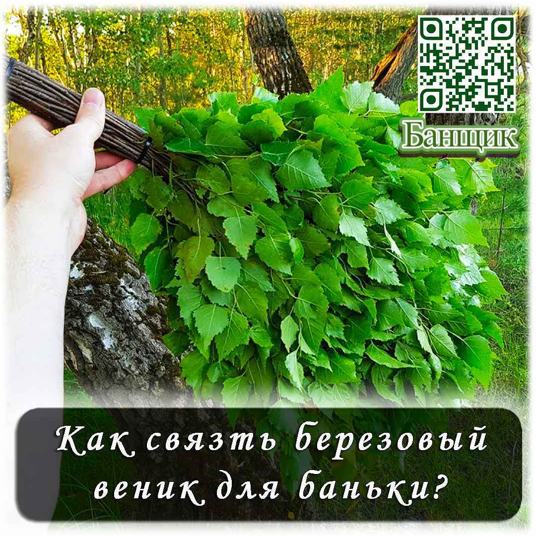 Как связать березовый веник для баньки? | Пикабу