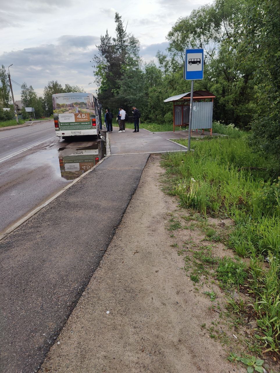 Greetings from the new house from Tamara, who was thrown out at the bus stop. She went to the Pikabushnik family and thawed out) - My, Animal Rescue, Tosno, cat, Helping animals, Found a home, It Was-It Was, Vertical video, Video, Longpost