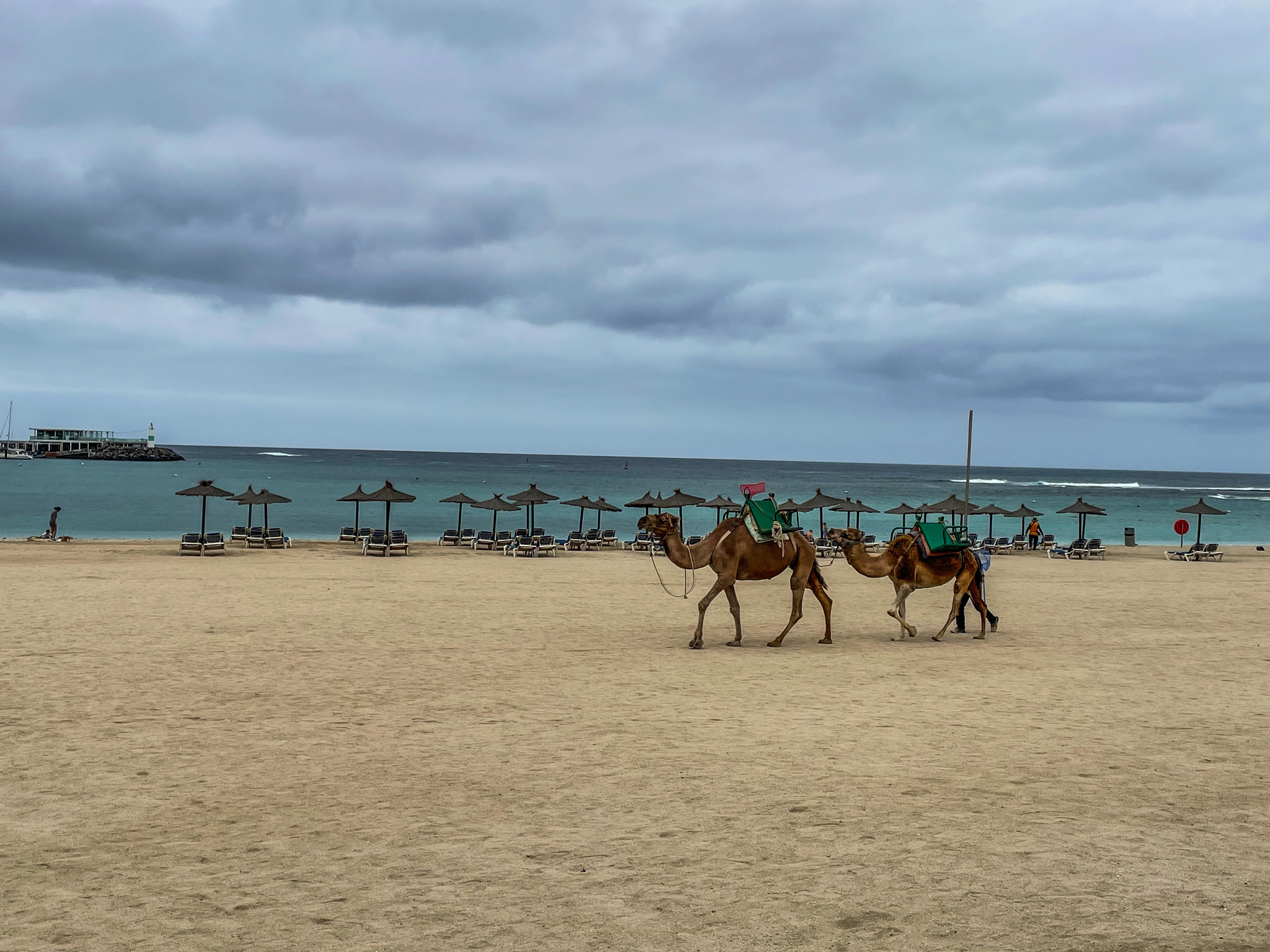 Fuerteventura: Caleta de Fuste - My, Travels, Spain, Canary Islands, Vacation, Ocean, Relaxation, Island, People, Town, Beach, Longpost, Mobile photography, The photo, Food, Animals, Museum, Salt