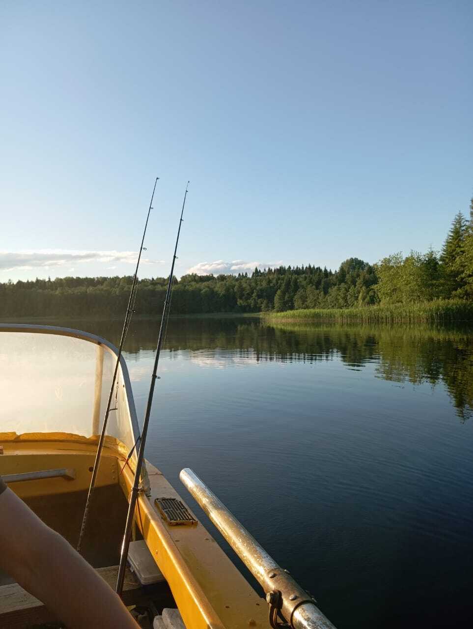 Fishing partners - My, Fishing, Muskrat, Video, Vertical video, Longpost