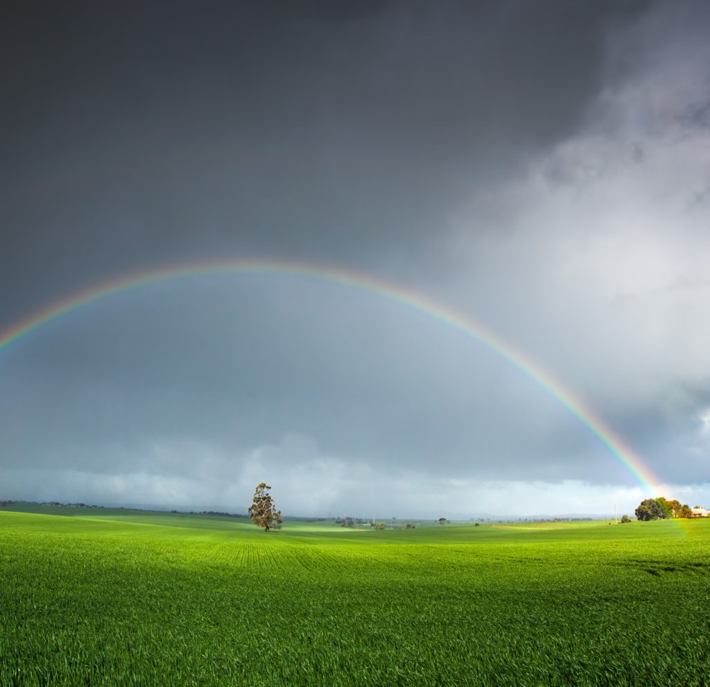 Rainbow - Rainbow, The photo